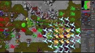 Tibia Paladin 290 Oramond West Quara Raid 5kkh [upl. by Marelda]