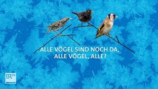 Wie der Klimawandel Zugvögel gefährdet  BR24 [upl. by Cicily856]