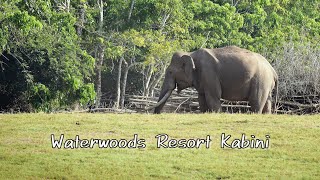 Waterwoods Resort Kabini [upl. by Cataldo808]