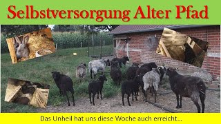 Das Unheil hat uns diese Woche auch erreicht [upl. by Mandell]