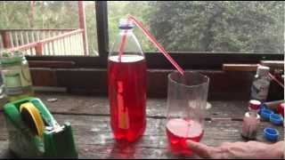 How to make a Straw Syphon  Simple Science Experiment  Uses Everyday Items [upl. by Wallis]