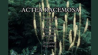 ACTEA RACEMOSA Homoeopathic Materia Medica [upl. by Alaunnoif]