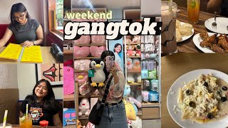 weekend vlog meet up with cousins  exploring market  gangtok vlog 💋 [upl. by Enyleve990]