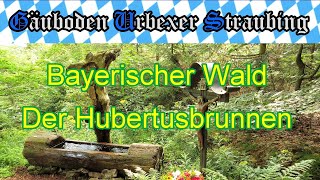 ⛰ Bayerischer Wald  Der Hubertusbrunnen  Juli 2019   054 [upl. by Nawuj]