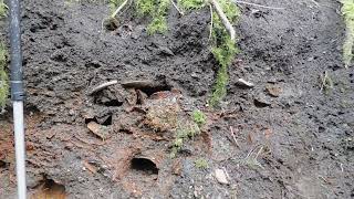 100 year old Trash Pile eroded away by creek [upl. by Derf]