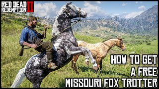 MISSOURI FOX TROTTER  Red Dead Redemption 2 Story Mode [upl. by Ervin]