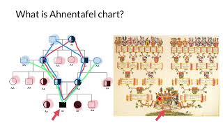 What is an Ahnentafel Chart [upl. by Earas]