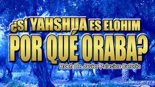 ¿SI YAHSHUA ES ELOHIM POR QUÉ ORABA  Roeh Dr Javier Palacios Celorio [upl. by Evannia544]