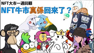 NFT 中文字幕 NFT牛市真係回來了？入市前有咩要留意？！BAYC Mocaverse CoolCats Pudgy Animoca Azuki Doodles NFT news 新聞 香港 [upl. by Anna-Diana]