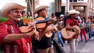 Tríos Tordo Huasteco y Eco Potosino desde el Centro de San Luis Potosí [upl. by Slaughter]