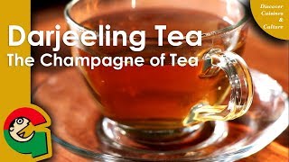 Lets make some Darjeeling Tea  How to make Darjeeling Tea  Recipe 15 [upl. by Acebber]