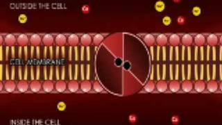 transport across the cell membrane super final [upl. by Ahselak]