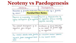 Neoteny Vs Paedogenesis  Handwritten notes [upl. by Culley231]