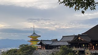 Togakushi Arashiyama Bamboo Forest Kiyomizudera Nishiki Market  Nagano  Kyoto  Japan  Part 3 [upl. by Justen]