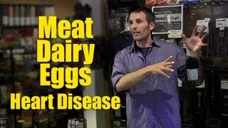 Meat Eggs Dairy and Heart Disease [upl. by Relyt]