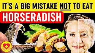 Horseradish Benefits Harm Risks Properties Recipe side effects and precautions [upl. by Yllaw689]