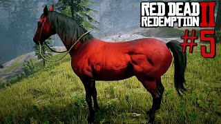 CONSEGUI AL MEJOR CABALLO 🐴 DE LA VIDA VIVA CHAVEZ  Red Dead Redemption 2 5 [upl. by Anelhtak279]