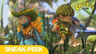 CBeebies Tree Fu Tom  Sneak Peak Golden Spore [upl. by Aneek]