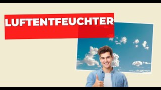 Im Test SHINCO 10L Luftentfeuchter – Ihre Lösung gegen Feuchtigkeit produkttest [upl. by Jacob364]