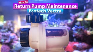 Mr Saltwater Tank Reviews The EcoTech Marine Vectra Pump [upl. by Sibeal734]