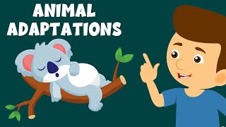 Animal Adaptations  Adaptation and Survival  Animal Adaptations for Kids  Learning Junction [upl. by Ainna]