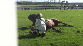 Mini Horse Pull 2013 PA Farm Show [upl. by Hill783]