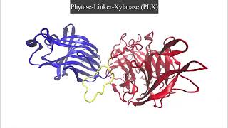 Chimeric xylanasephytase for improved thermal tolerance of feed enzymes [upl. by Anaibib]