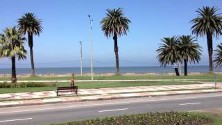 Playa de los Pocitos Montevideo  Explore Uruguay [upl. by Yeldud]