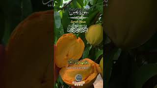 Surah Abasa episode 9 islamic channel67 for you viral Quran majeed tilawatIslamic video [upl. by Dviad]