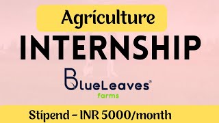 BlueLeaves Farms  Agriculture Internship  Pursuing Student Apply  Agrihunars  2023 [upl. by Ayikahs]