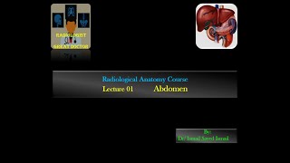 Radiological Anatomy Course Lecture 01 Abdomen Part3 [upl. by Finella29]