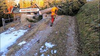 Vom Stamm zum Brennholz Arbeiten auf der Landwirtschaft [upl. by Assenal]