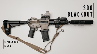 300 AAC Blackout  The Quietest Gun I Own [upl. by Nudd401]