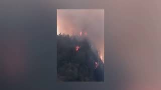 Reporta Conafor ocho incendios forestales activos y dos liquidados en Veracruz [upl. by Lisbeth]