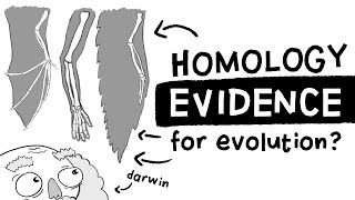 Is Homology Evidence for Evolution Long Story Short Ep 1 [upl. by Noynek137]