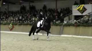 Diamo Gold OLD 2013 wwwhengststationahlersde [upl. by Nanoc859]