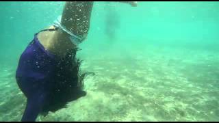 Snorkeling Tour Contadora Island  Panama RP [upl. by Ellenaj]