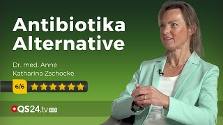 Blasenentzündung heilen ohne Antibiotika Dr Anne Katharina Zschocke NaturMEDIZIN QS24 [upl. by Ahsenrac]