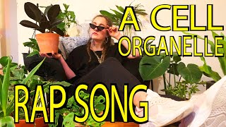 Cell Organelle Rap Song Organelles and Their Functions [upl. by Cathee]