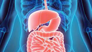 Hepatic encephalopathy [upl. by Eadrahc]