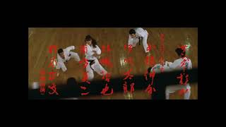 Sister Street Fighter Etsuko Shihomi Karate Opening Scene [upl. by Anaitat]