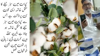 How to Control Sabz Tela in Cotton  Sarsabz Pakistan  Farmer Interview [upl. by Lubow343]