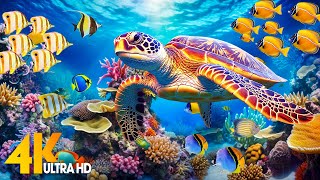 Under Red Sea 4K  Beautiful Coral Reef Fish in Aquarium Sea Animals for Relaxation  4K Video 3 [upl. by Read]