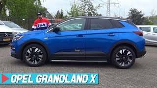 De 2019 Opel Grandland X Is Een Ideale Gezinsauto [upl. by Suirtimid801]