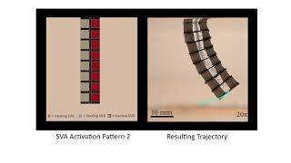 Miniaturized Soft Robots Using Temperatureresponsive Hydrogels [upl. by Ennaeilsel981]