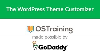 WordPress Beginner Tutorial 25 The WordPress Theme Customizer [upl. by Oech219]