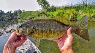 How I Fish A Stretch Of River For Summer Smallmouth [upl. by Nehgam]