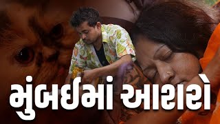 મુંબઈ મા આશરો । Khajur Bhai VLOGS । Jigli and Khajur  Help  Cat  Nitin Jani  Khajur Bhai Help [upl. by Oruhtra475]