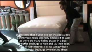 How to Properly Install a Bed Bug Proof Mattress Cover [upl. by Tekcirk550]