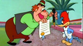 Woodys BIllion Dollar Test  1 Hour of Classic Woody Woodpecker  Woody Woodpecker [upl. by Atnohs527]